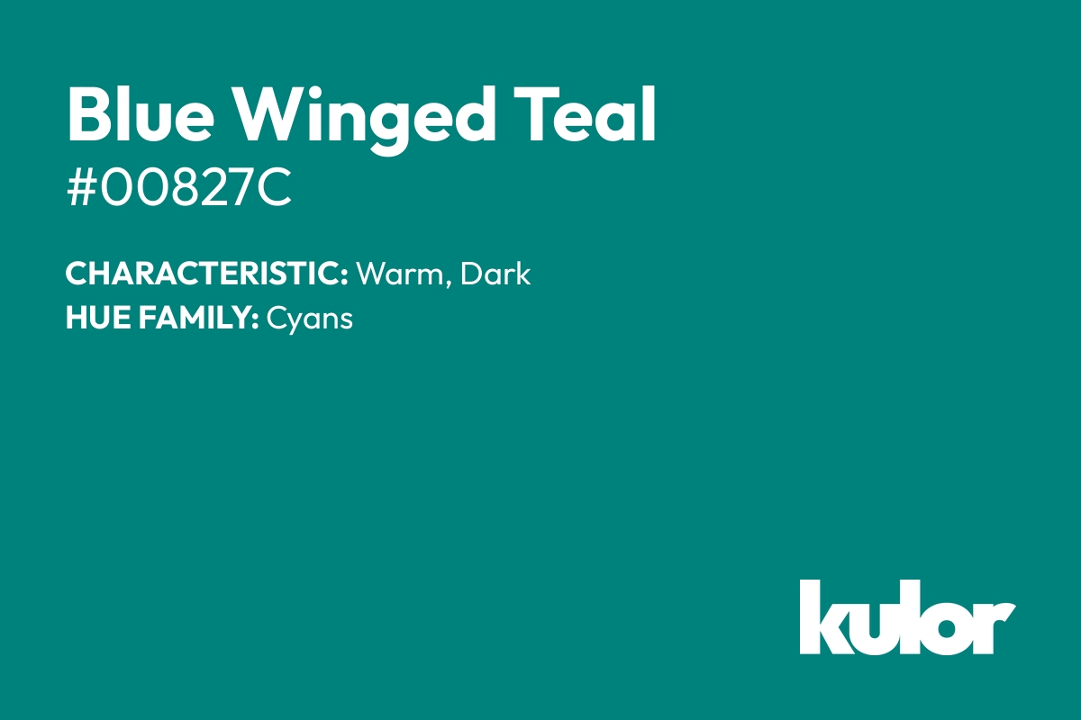 Blue Winged Teal is a color with a HTML hex code of #00827c.