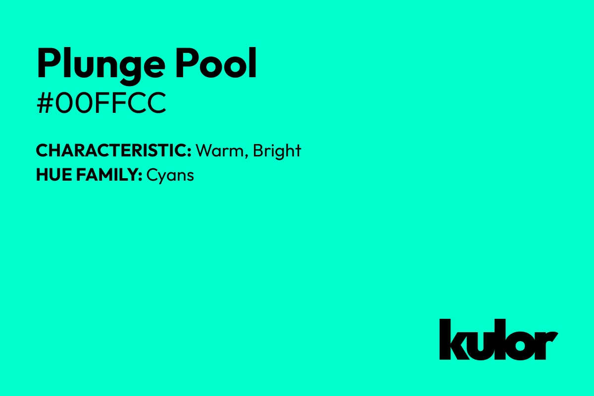 Plunge Pool is a color with a HTML hex code of #00ffcc.