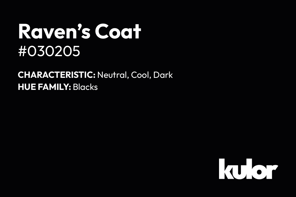 Raven’s Coat is a color with a HTML hex code of #030205.