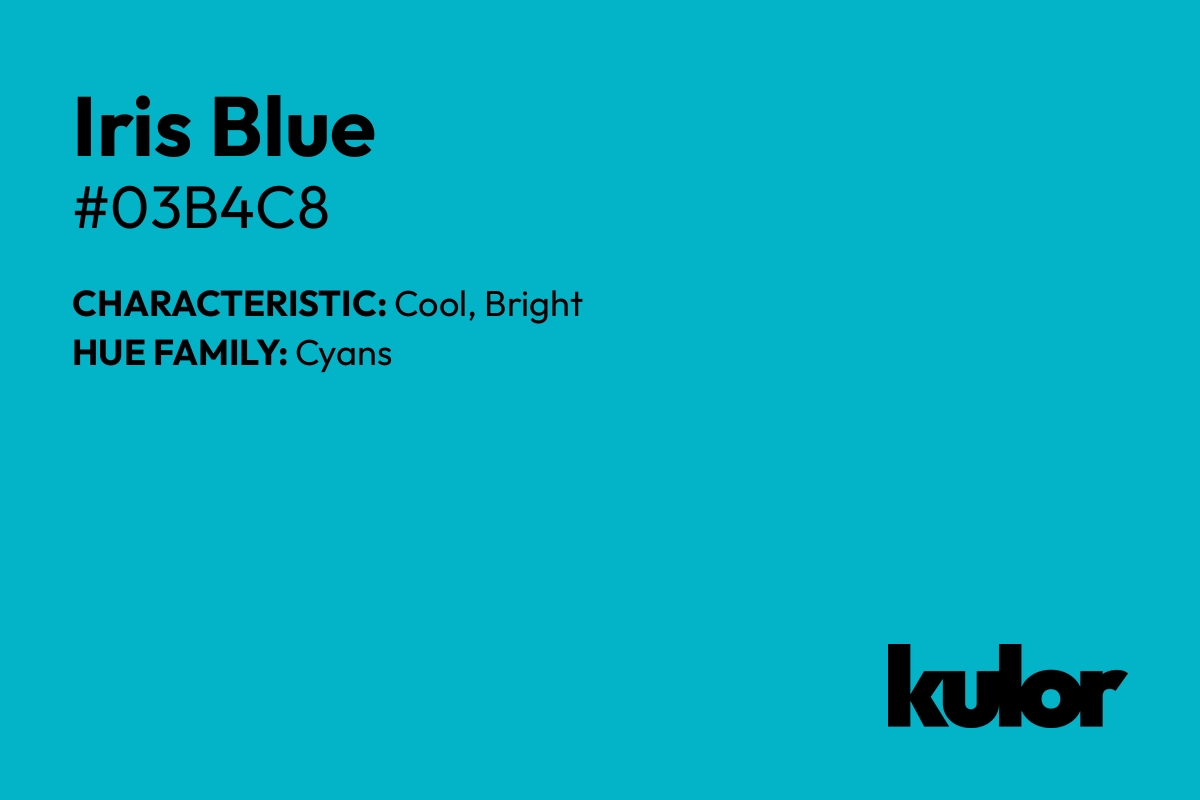 Iris Blue is a color with a HTML hex code of #03b4c8.