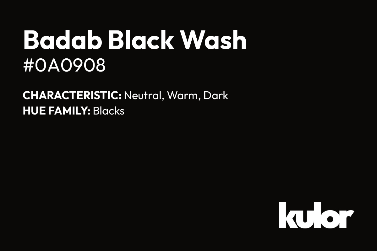 Badab Black Wash is a color with a HTML hex code of #0a0908.