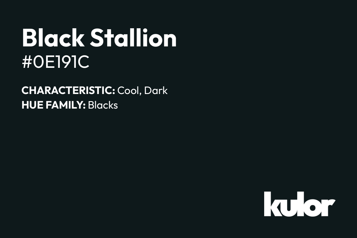 Black Stallion is a color with a HTML hex code of #0e191c.