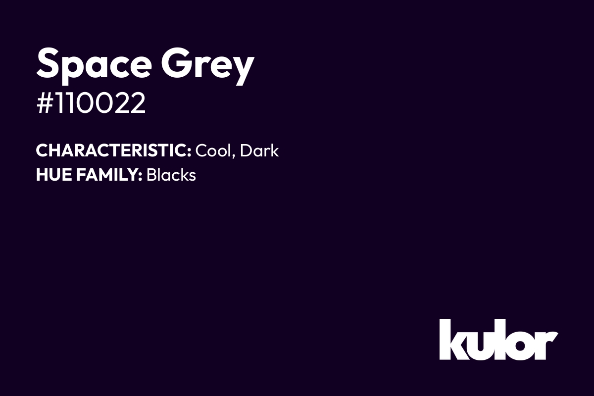Space Grey is a color with a HTML hex code of #110022.
