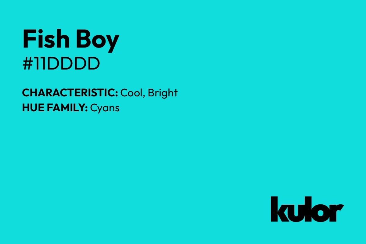 Fish Boy is a color with a HTML hex code of #11dddd.