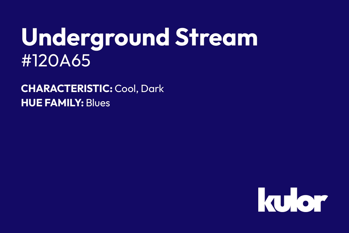 Underground Stream is a color with a HTML hex code of #120a65.