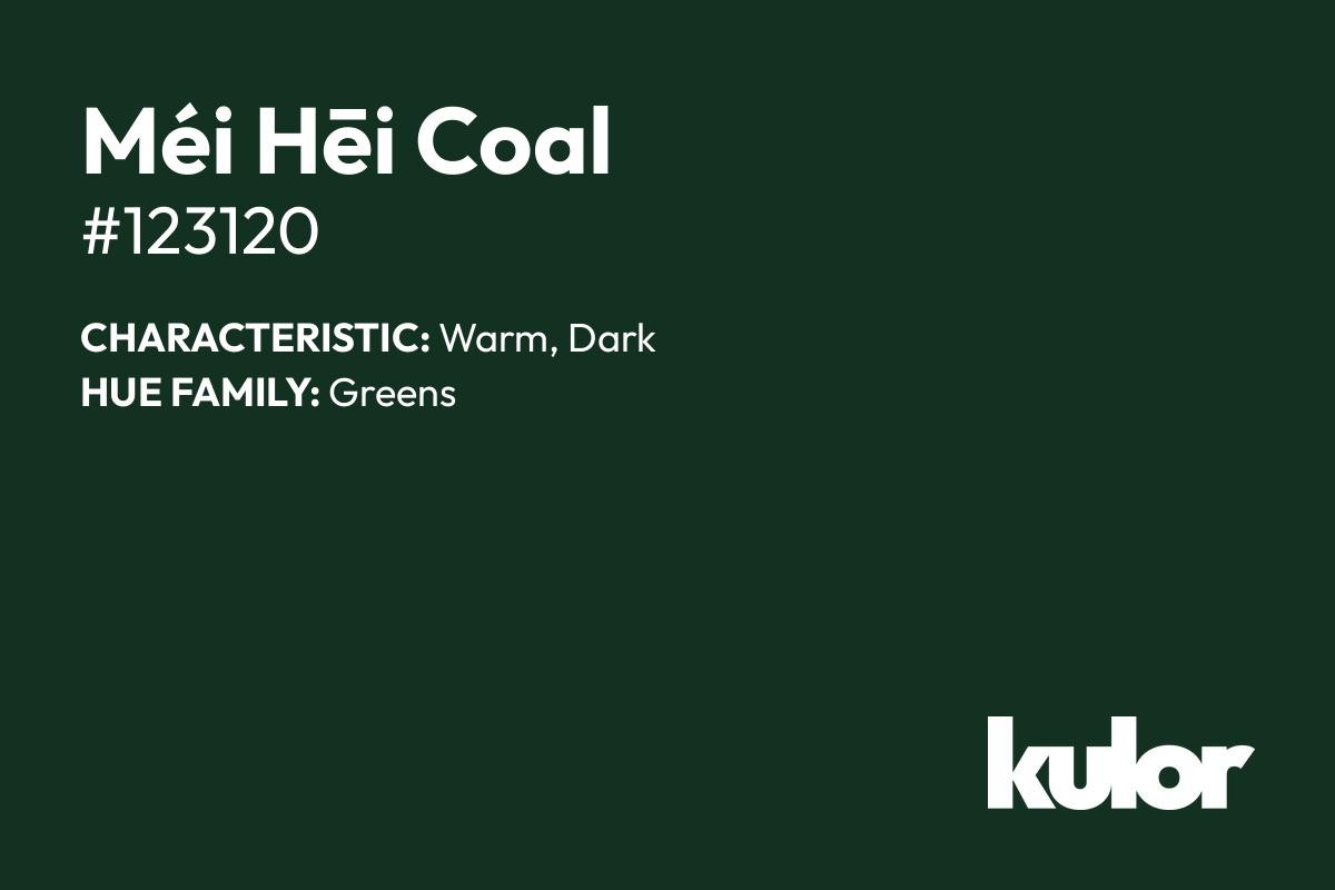 Méi Hēi Coal is a color with a HTML hex code of #123120.