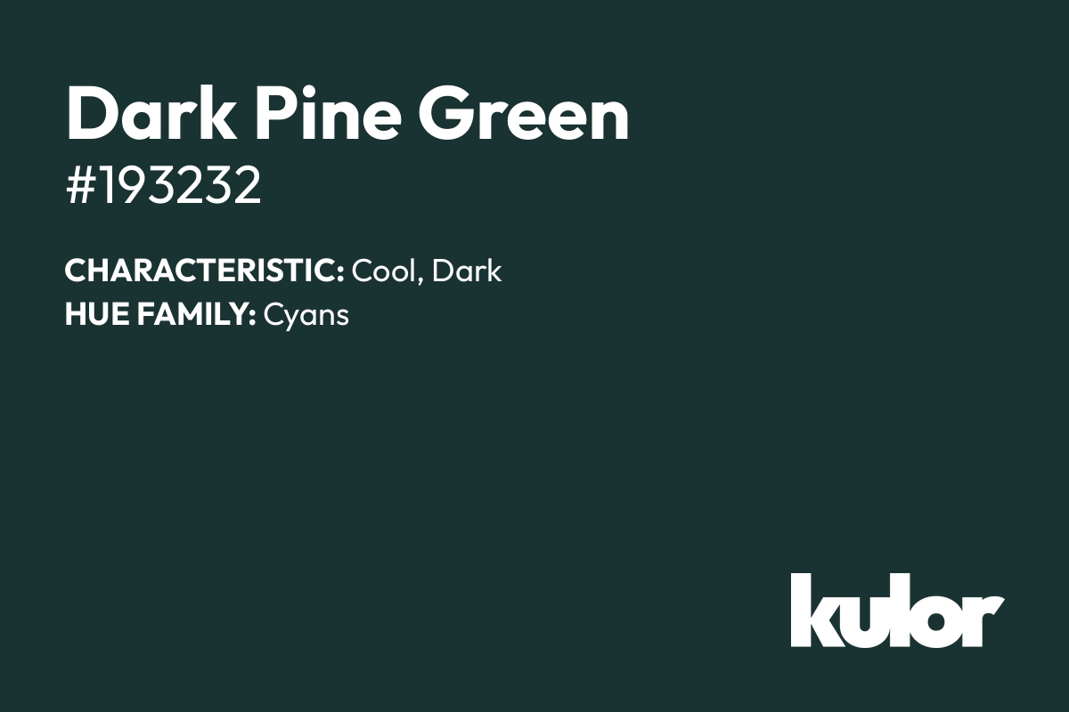 Dark Pine Green is a color with a HTML hex code of #193232.