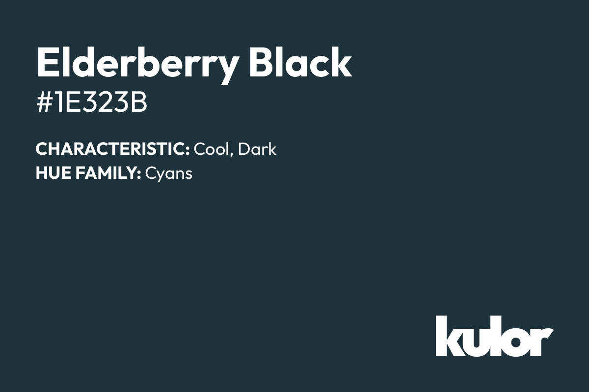 Elderberry Black is a color with a HTML hex code of #1e323b.