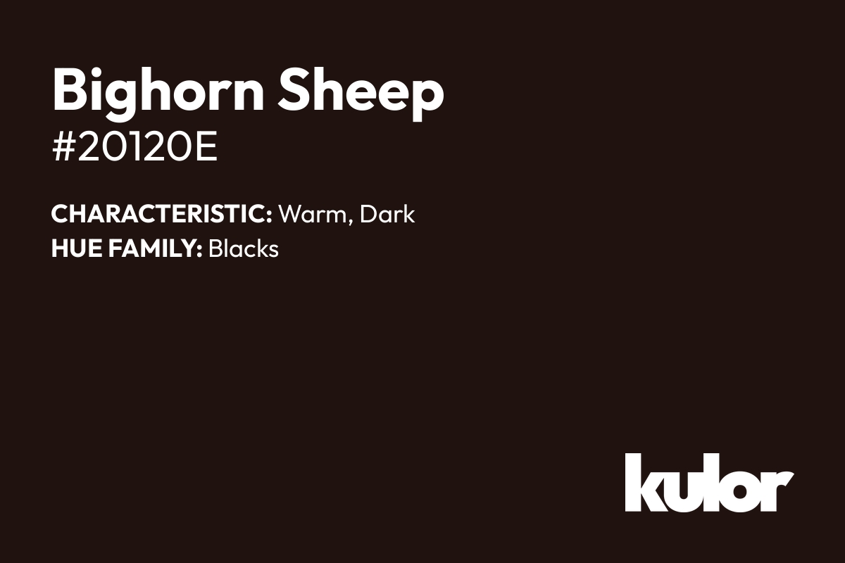 Bighorn Sheep is a color with a HTML hex code of #20120e.