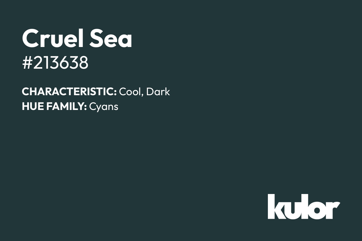 Cruel Sea is a color with a HTML hex code of #213638.