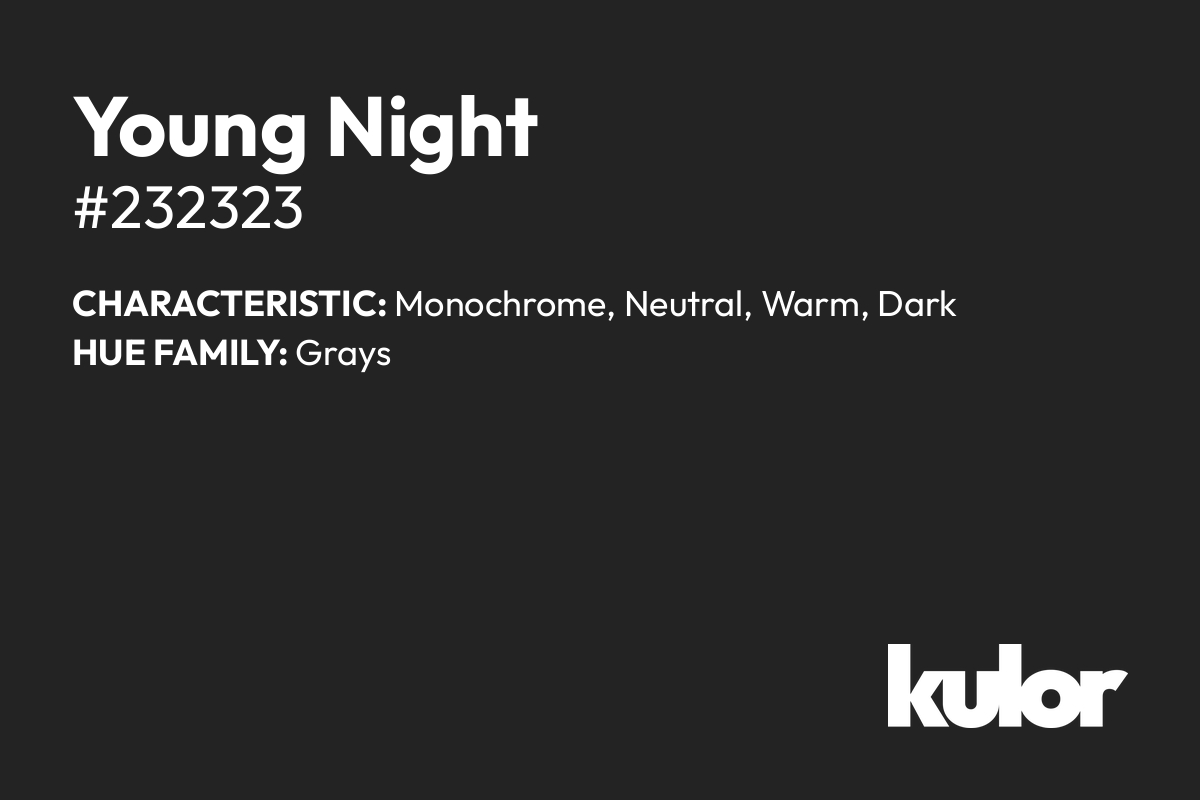 Young Night is a color with a HTML hex code of #232323.