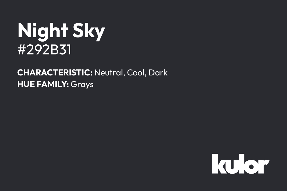 Night Sky is a color with a HTML hex code of #292b31.