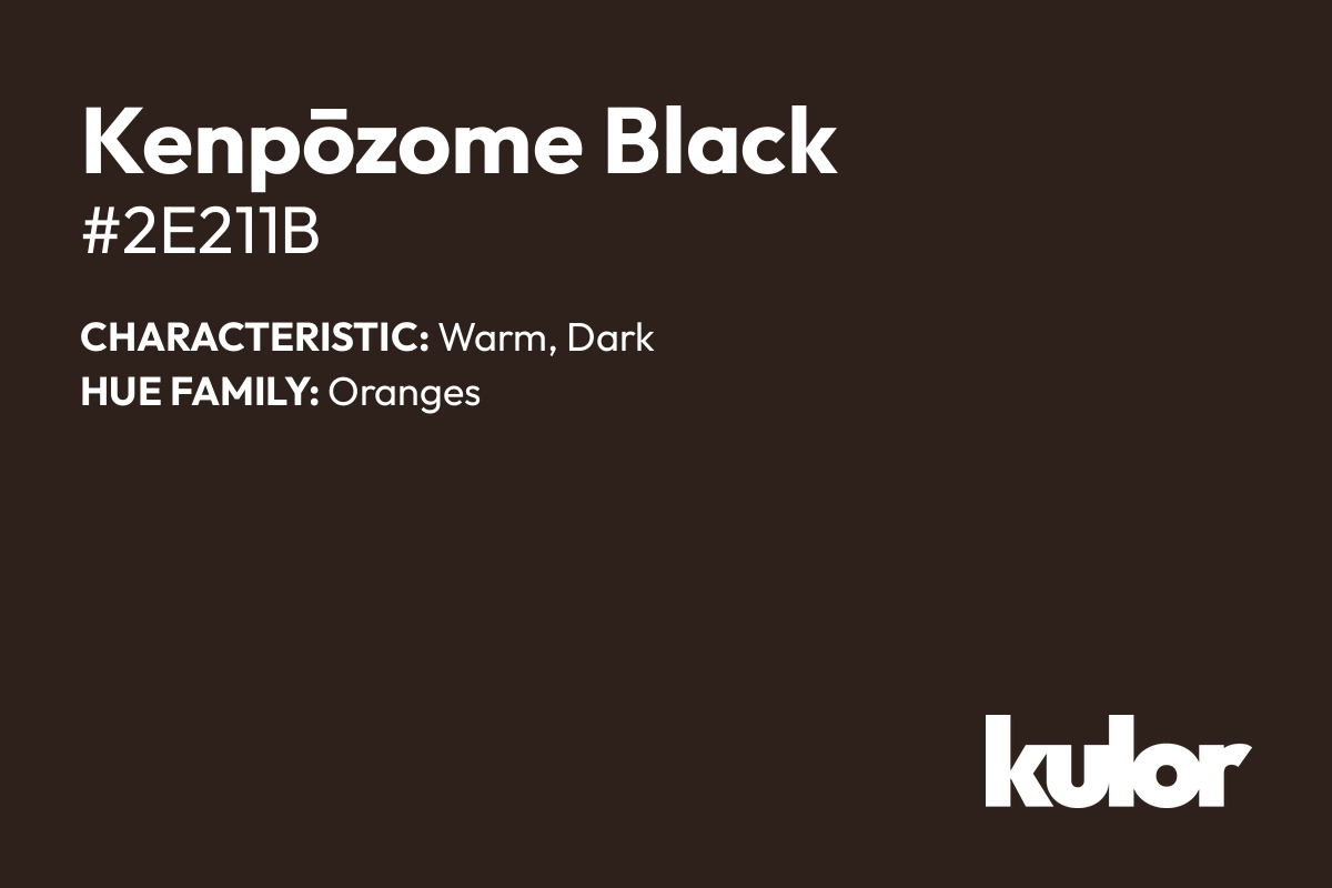 Kenpōzome Black is a color with a HTML hex code of #2e211b.