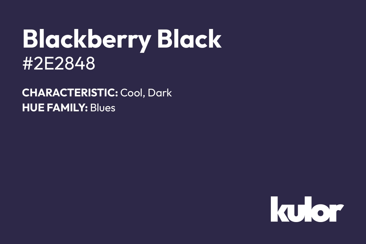 Blackberry Black is a color with a HTML hex code of #2e2848.