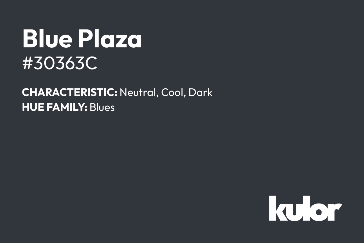 Blue Plaza is a color with a HTML hex code of #30363c.