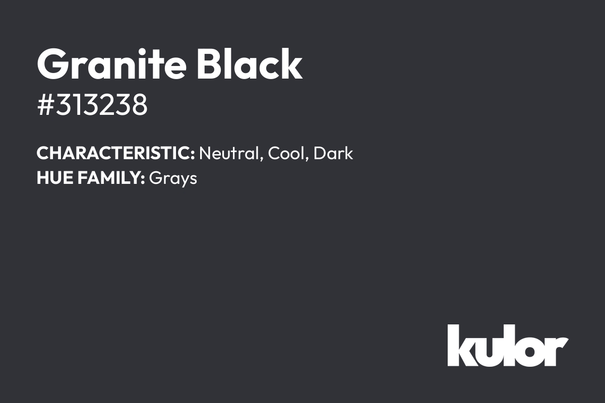 Granite Black is a color with a HTML hex code of #313238.