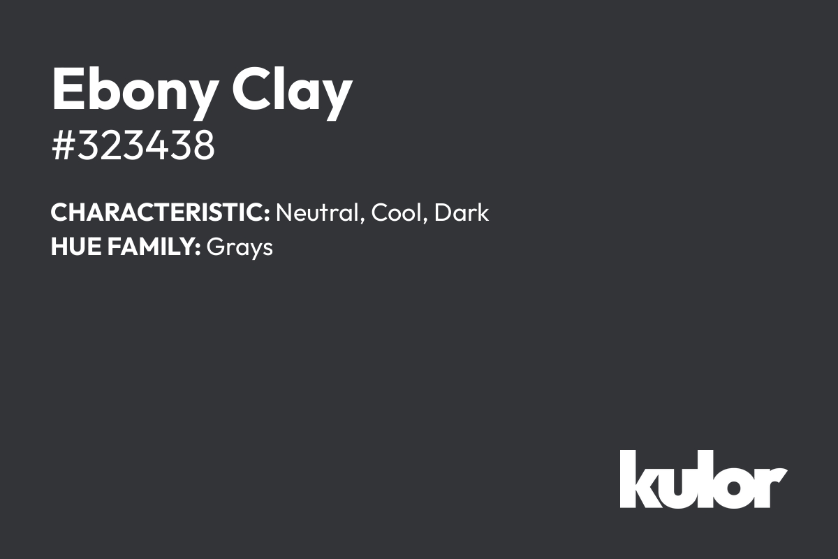 Ebony Clay is a color with a HTML hex code of #323438.