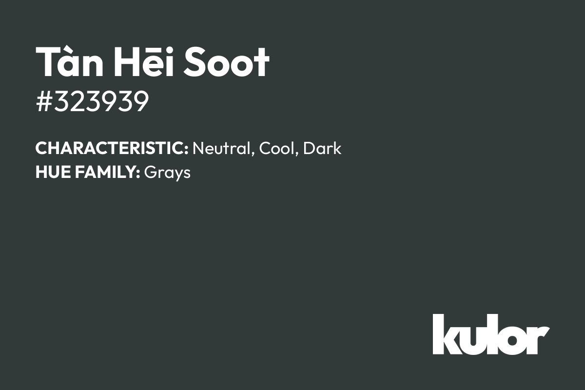 Tàn Hēi Soot is a color with a HTML hex code of #323939.