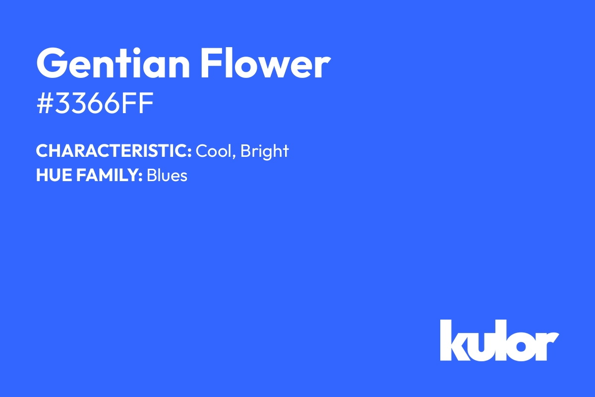 Gentian Flower is a color with a HTML hex code of #3366ff.