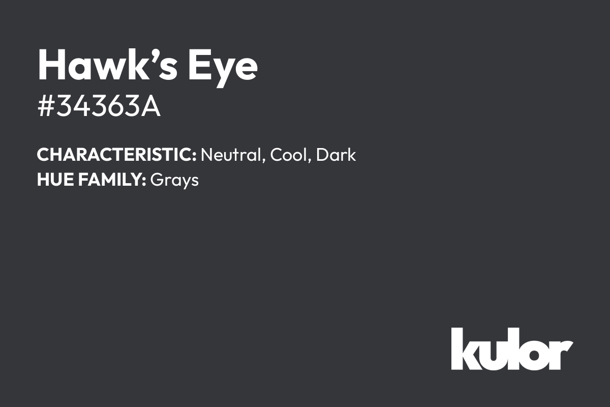 Hawk’s Eye is a color with a HTML hex code of #34363a.