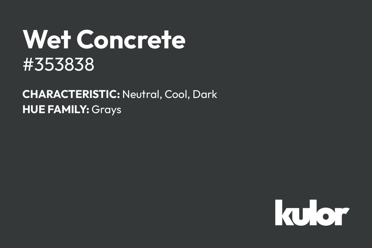 Wet Concrete is a color with a HTML hex code of #353838.