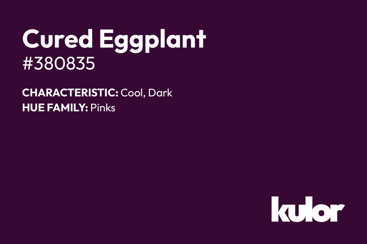 Cured Eggplant is a color with a HTML hex code of #380835.