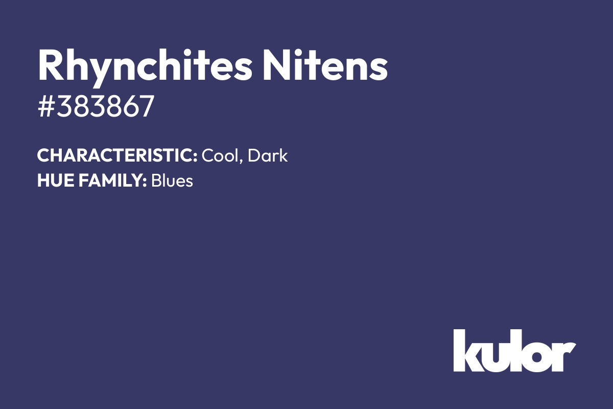 Rhynchites Nitens is a color with a HTML hex code of #383867.