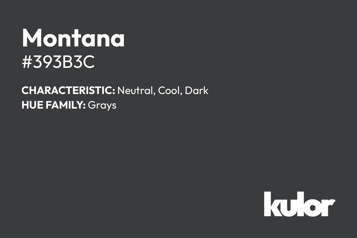 Montana is a color with a HTML hex code of #393b3c.