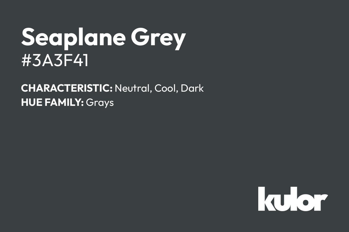 Seaplane Grey is a color with a HTML hex code of #3a3f41.