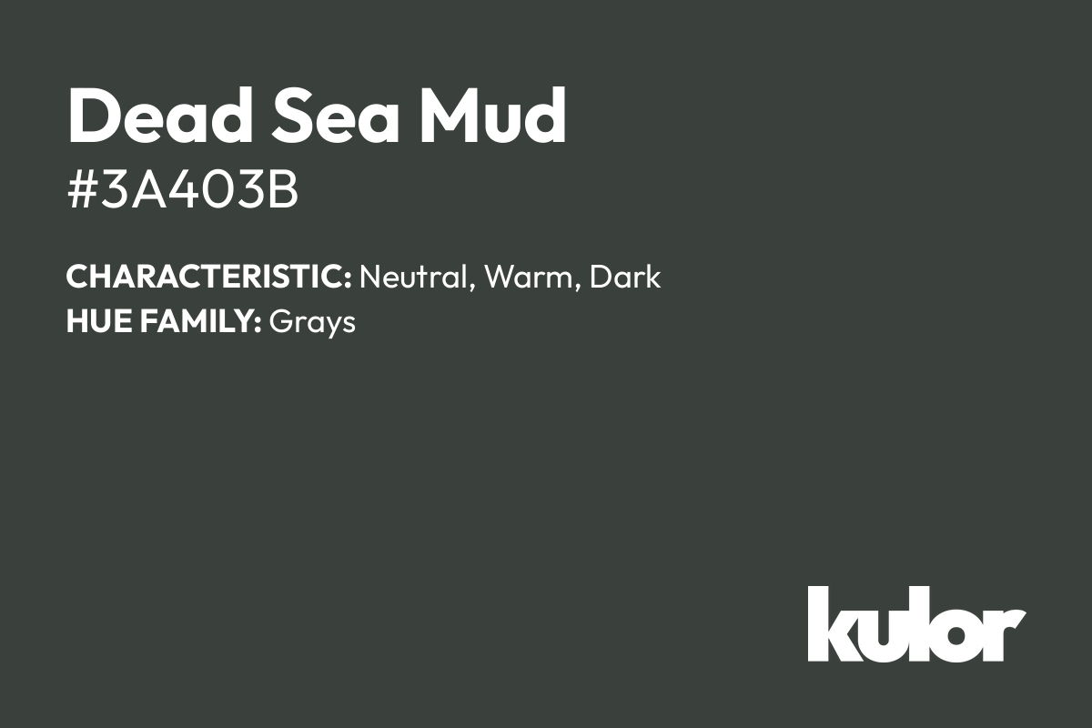 Dead Sea Mud is a color with a HTML hex code of #3a403b.