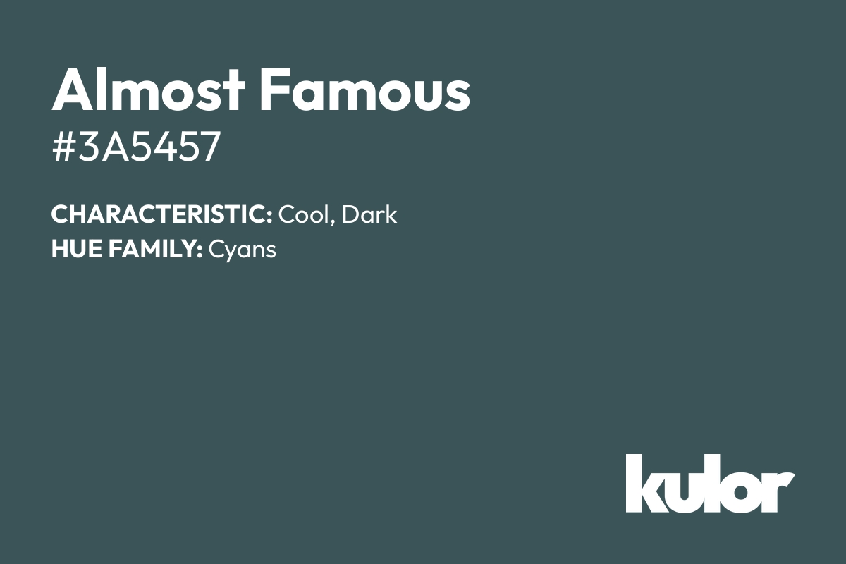 Almost Famous is a color with a HTML hex code of #3a5457.