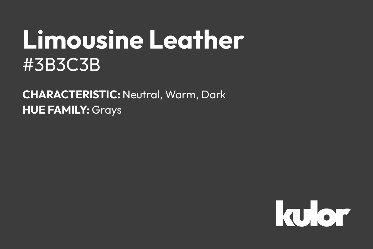 Limousine Leather is a color with a HTML hex code of #3b3c3b.