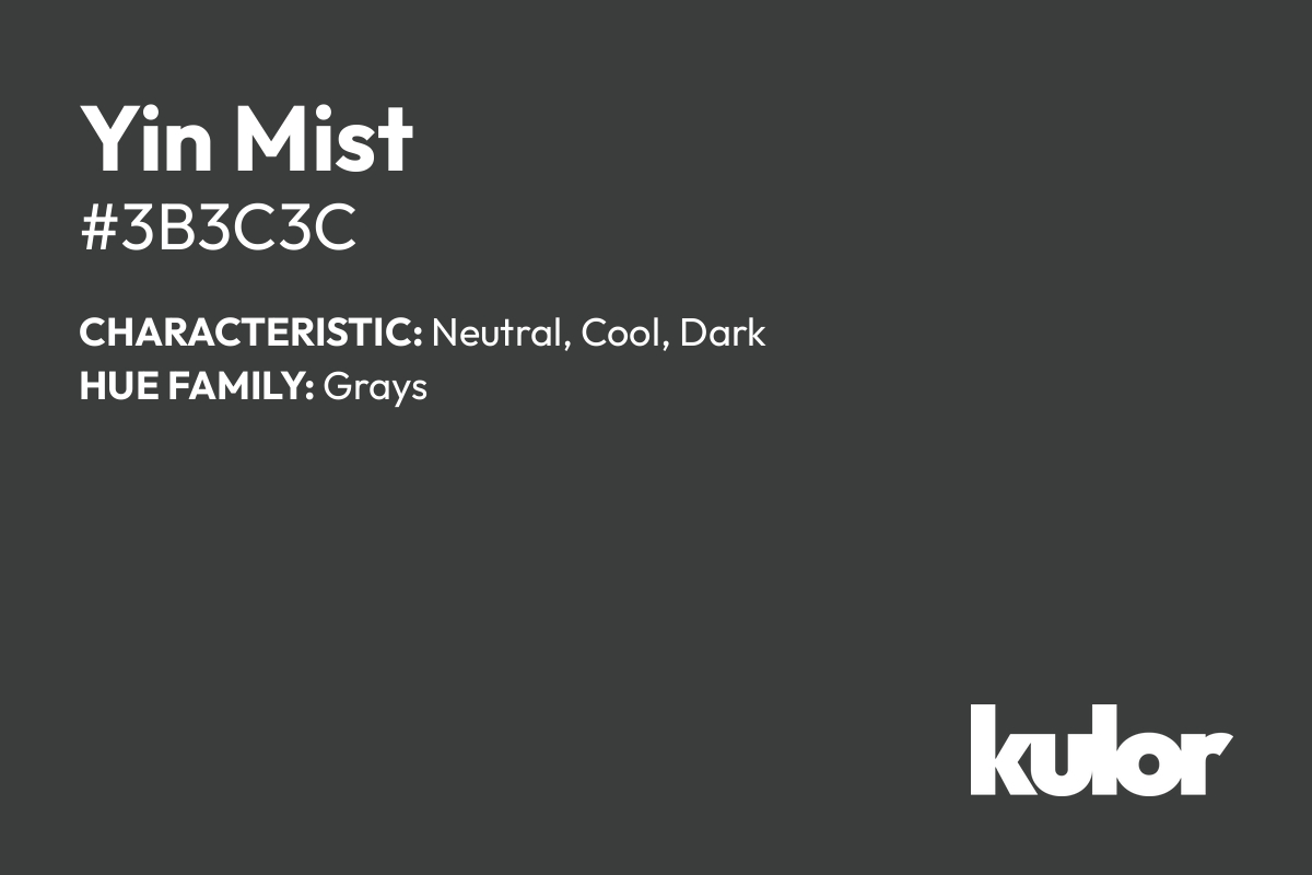 Yin Mist is a color with a HTML hex code of #3b3c3c.