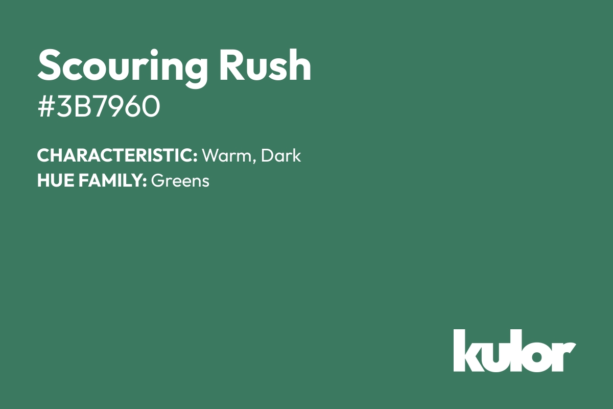 Scouring Rush is a color with a HTML hex code of #3b7960.