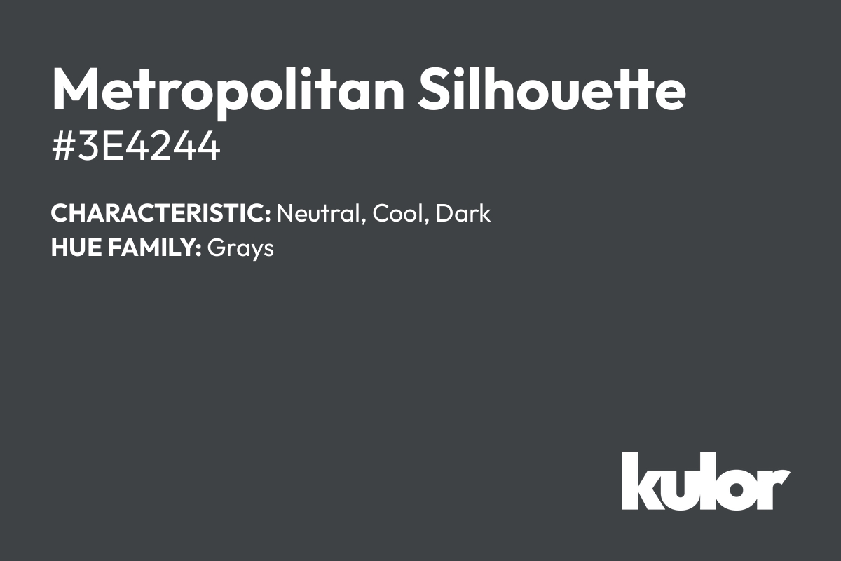 Metropolitan Silhouette is a color with a HTML hex code of #3e4244.