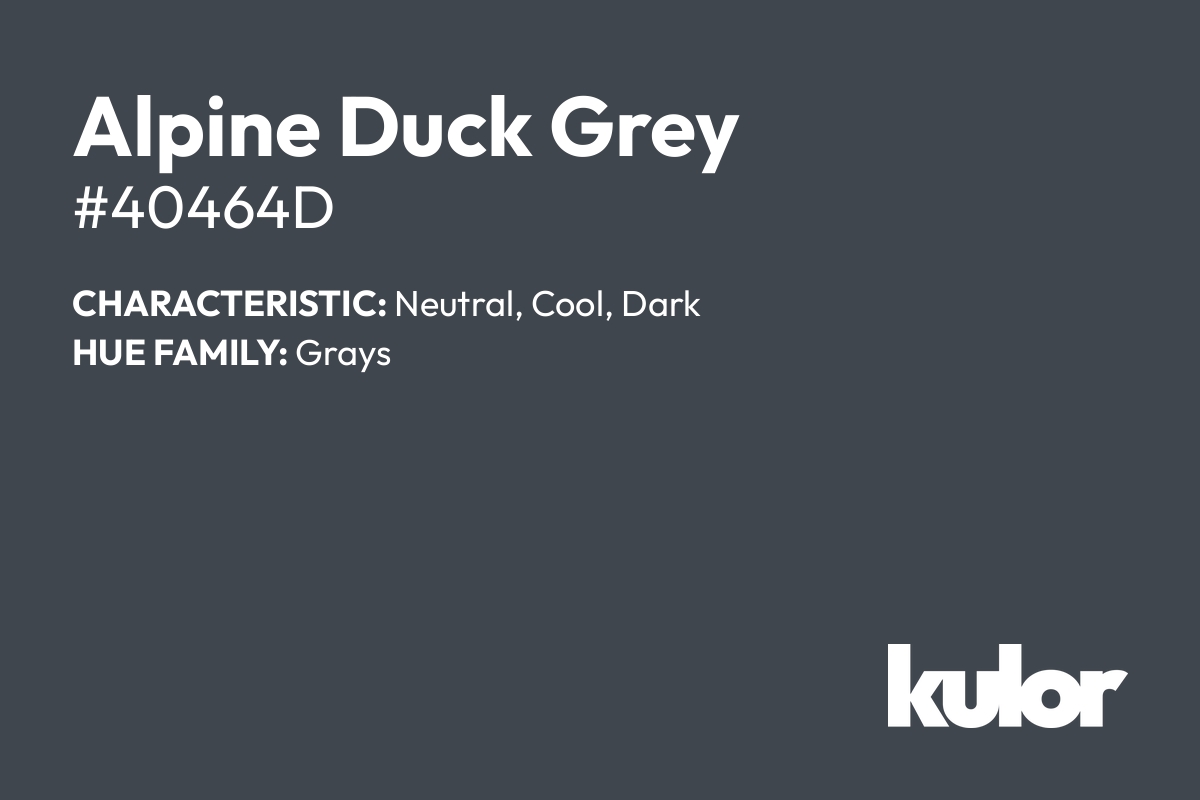 Alpine Duck Grey is a color with a HTML hex code of #40464d.