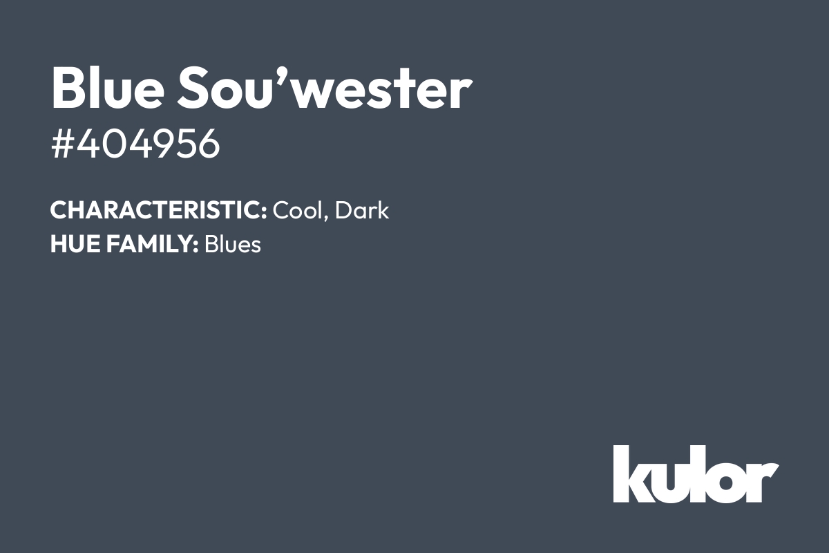 Blue Sou’wester is a color with a HTML hex code of #404956.