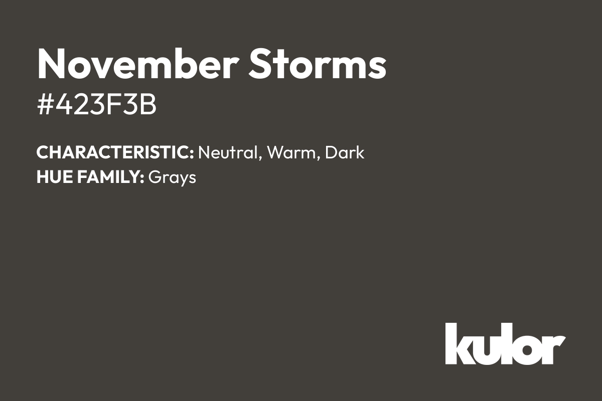 November Storms is a color with a HTML hex code of #423f3b.