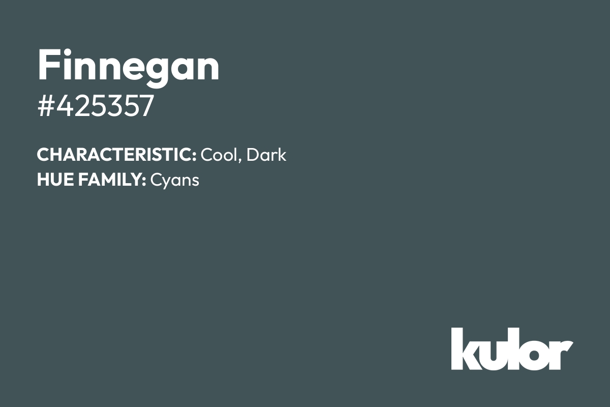 Finnegan is a color with a HTML hex code of #425357.