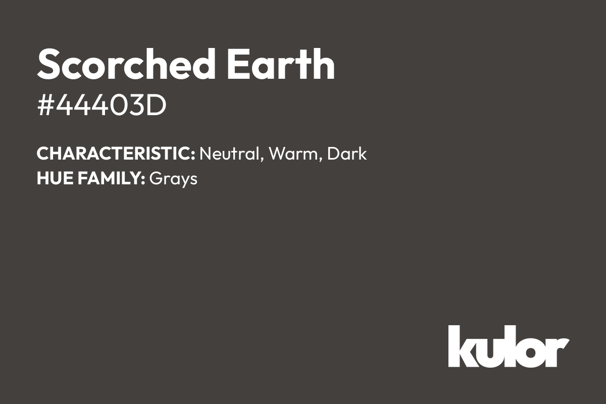 Scorched Earth is a color with a HTML hex code of #44403d.