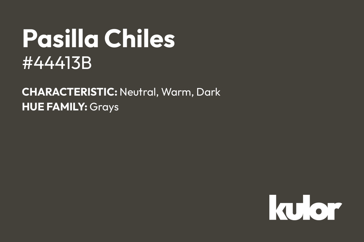 Pasilla Chiles is a color with a HTML hex code of #44413b.