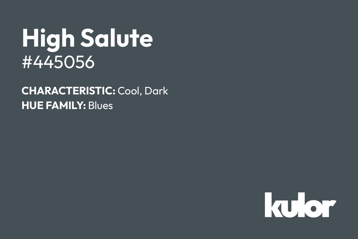 High Salute is a color with a HTML hex code of #445056.