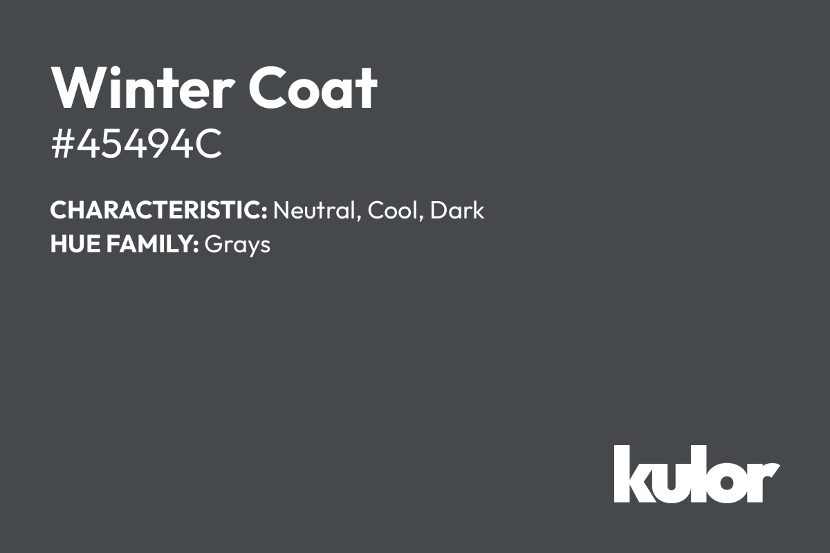 Winter Coat is a color with a HTML hex code of #45494c.