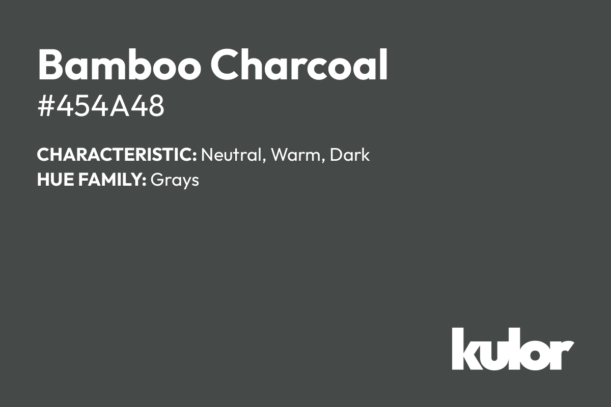 Bamboo Charcoal is a color with a HTML hex code of #454a48.