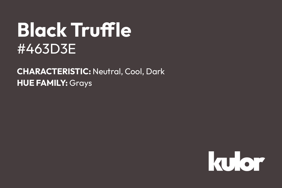 Black Truffle is a color with a HTML hex code of #463d3e.