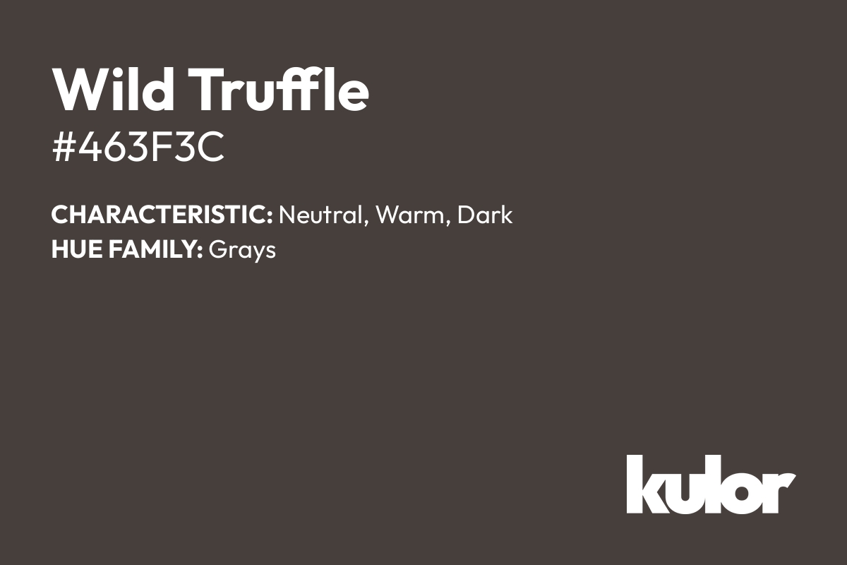 Wild Truffle is a color with a HTML hex code of #463f3c.