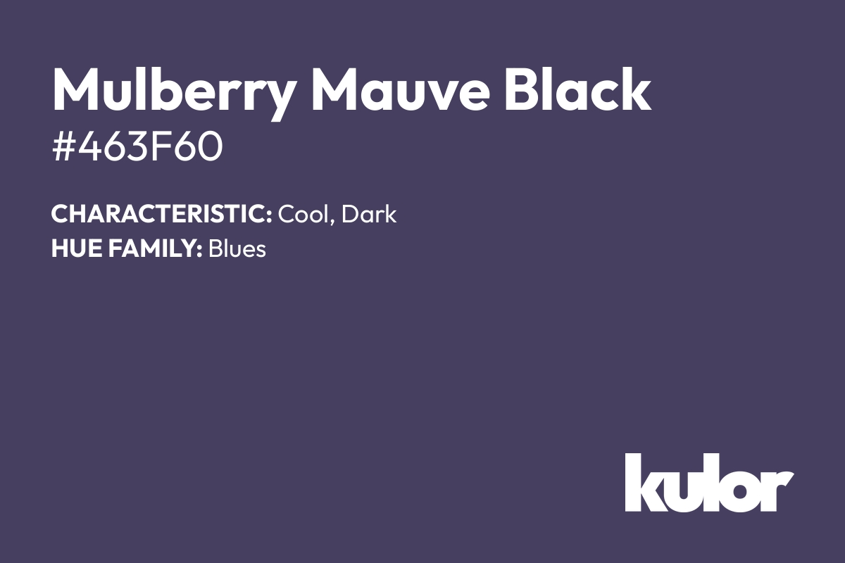 Mulberry Mauve Black is a color with a HTML hex code of #463f60.