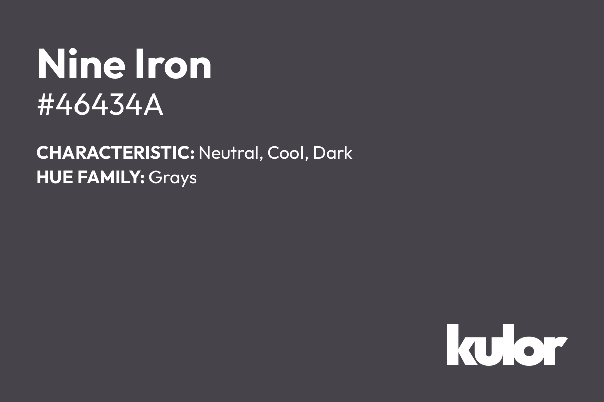 Nine Iron is a color with a HTML hex code of #46434a.