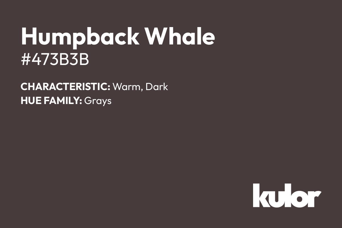 Humpback Whale is a color with a HTML hex code of #473b3b.