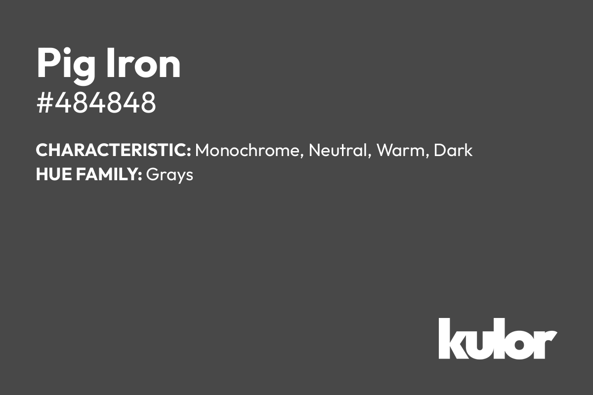 Pig Iron is a color with a HTML hex code of #484848.